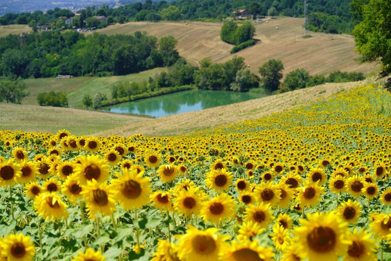 Agriturismo Il Sarale - Umbria Citta di Castello Exterior photo